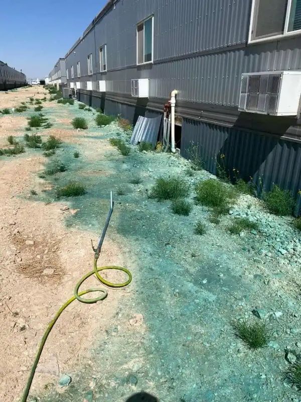 Weed Remediation