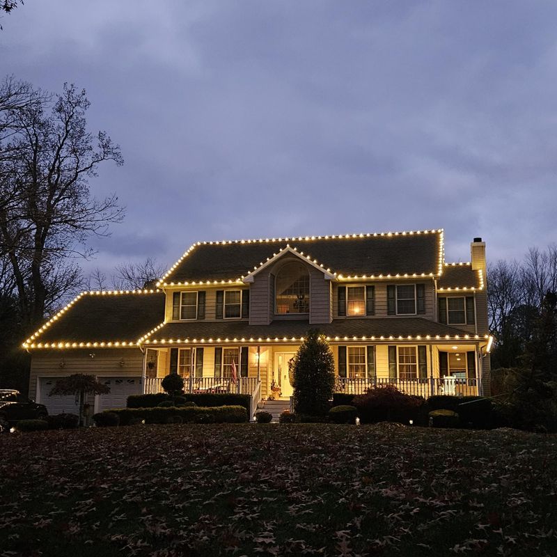 Christmas Light Installation