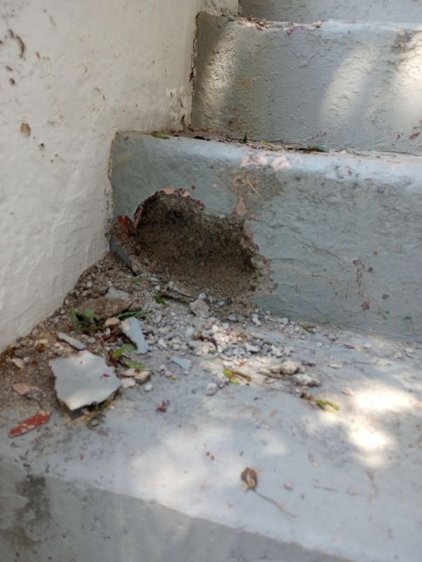 Stair Restoration