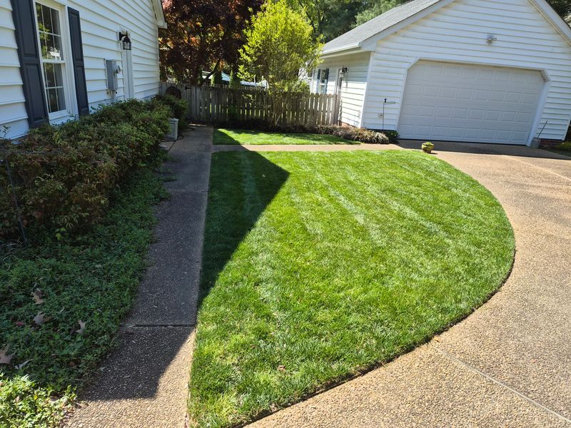 Landscaping 