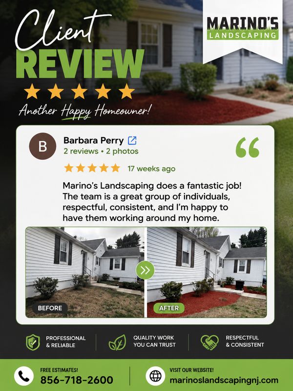 Lawn Care and Maintenance