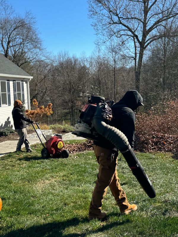 Spring & Fall Clean ups