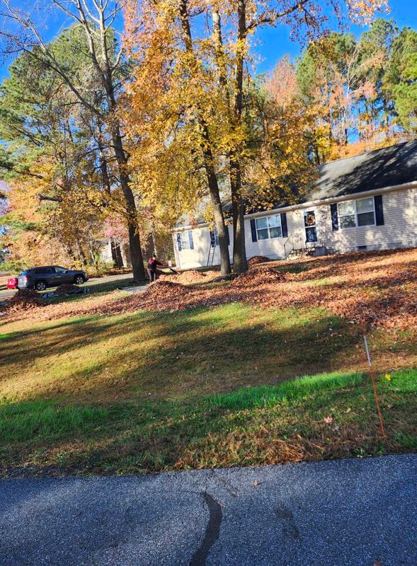 Fall and Spring Clean Up