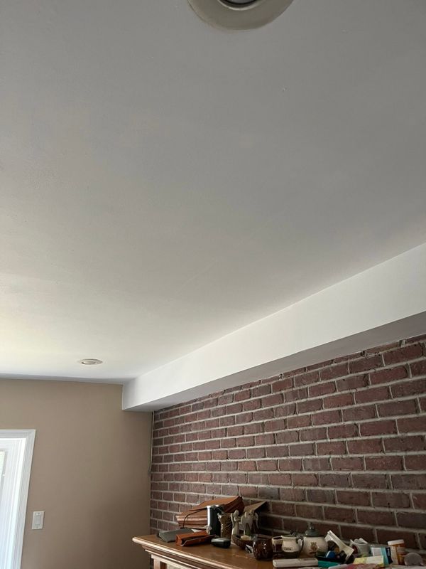Ceiling Painting