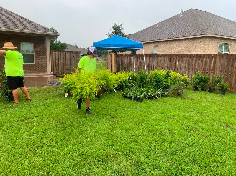 Landscape Design & Planting