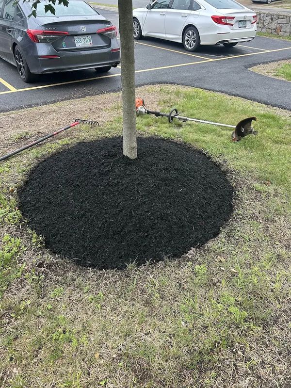 Landscaping
