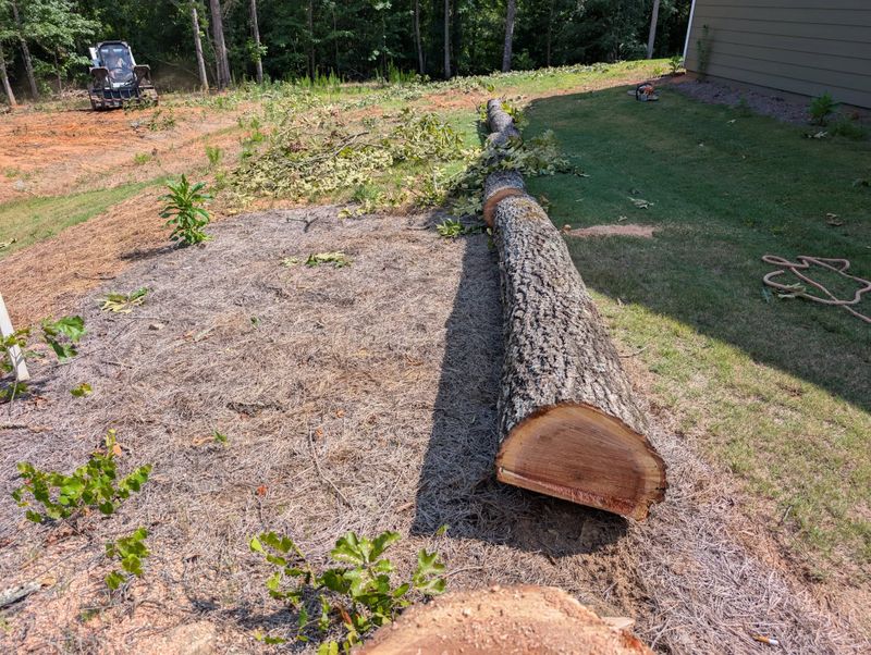 Tree Work