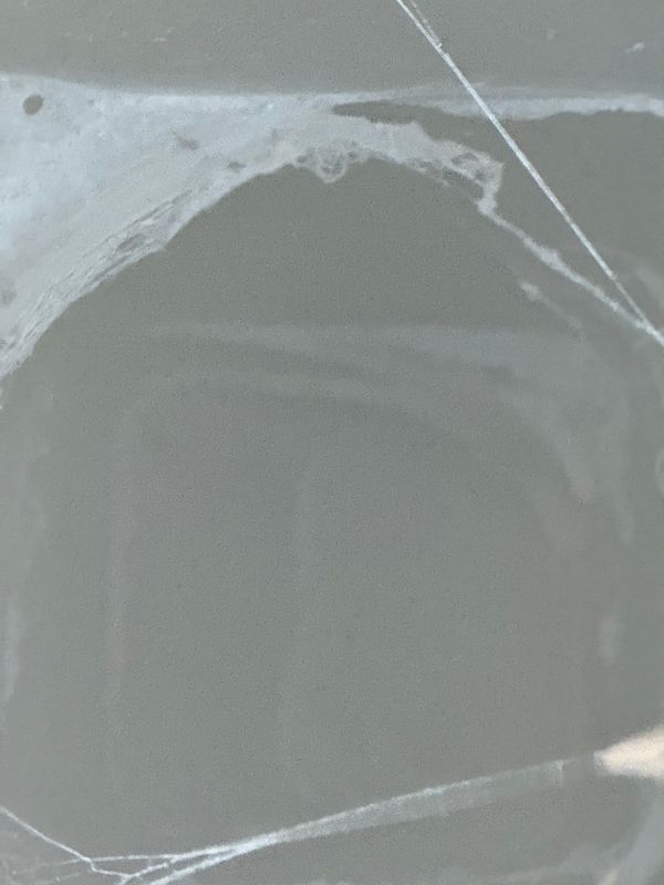 Chimney Inspections
