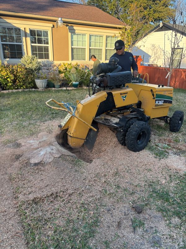 Stump Grinding