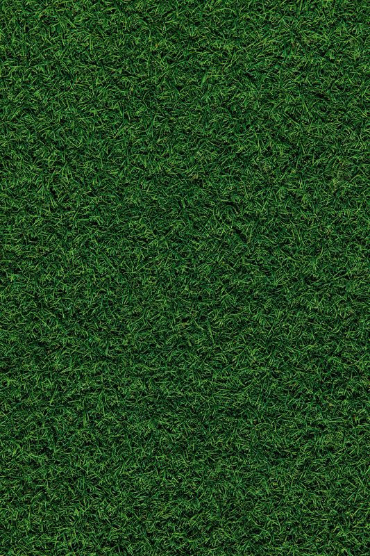 Lawn Maintenance
