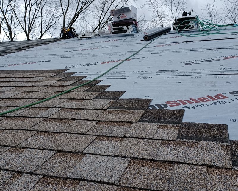 Shingle Roof Replacement