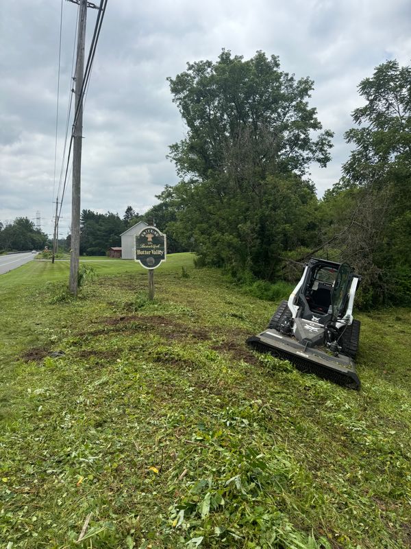Land Clearing