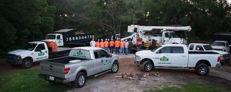 Tree Removal gallery