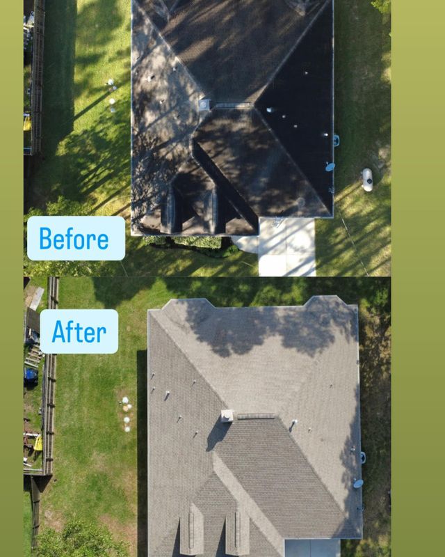 Roof SoftWashing