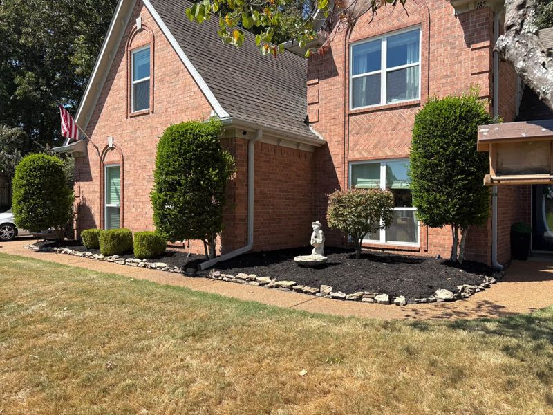 Tree and Shrub Care