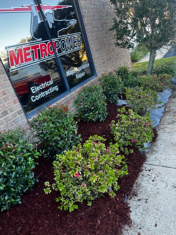 Landscape Design & Planting