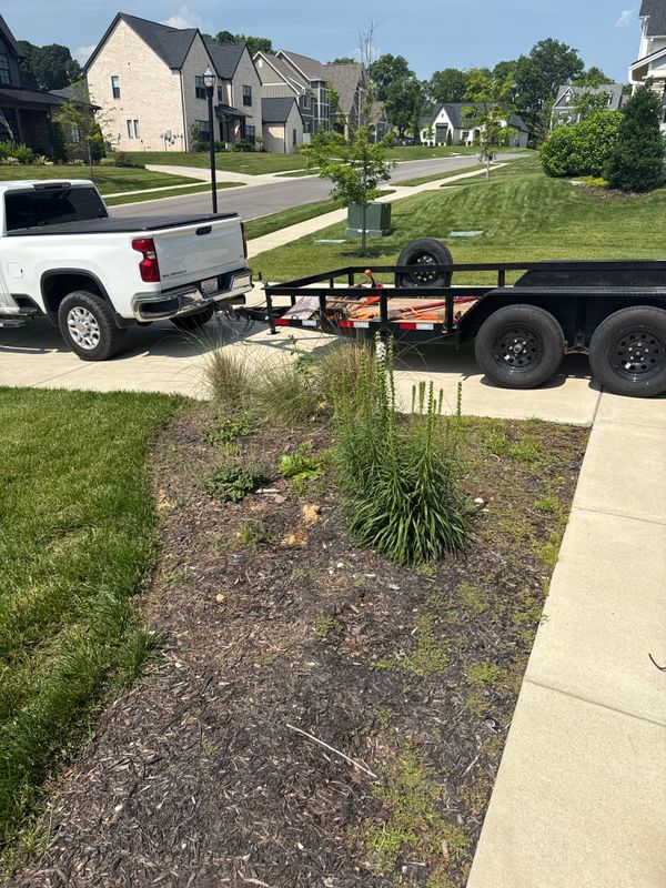 Mulch Installation