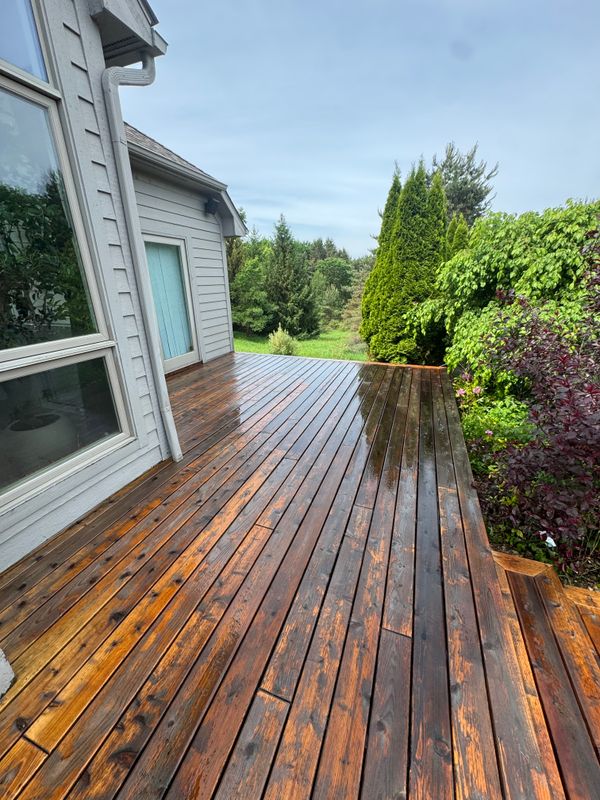 Deck & Patio Restoration