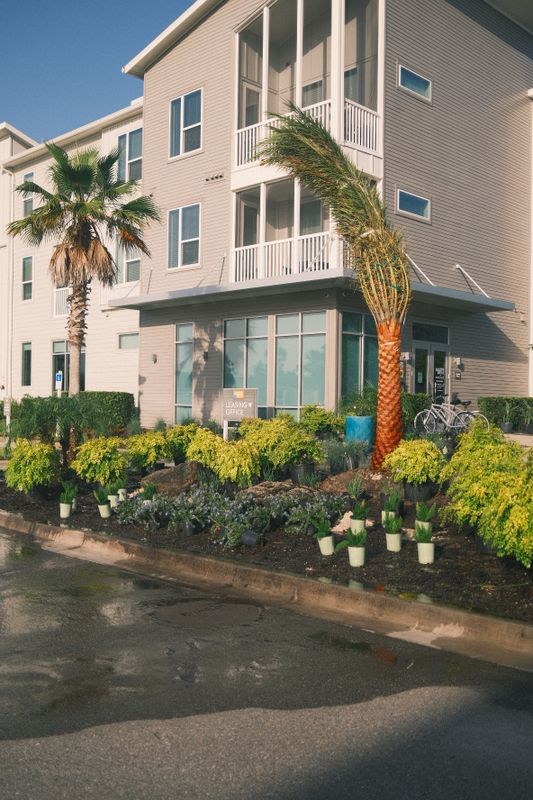 Commercial Landscape & Maintenance