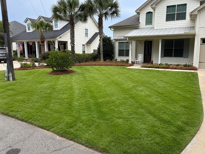 Lawn Maintenance
