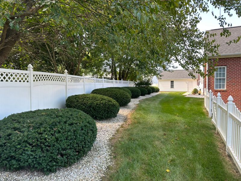 Shrub and tree Trimming