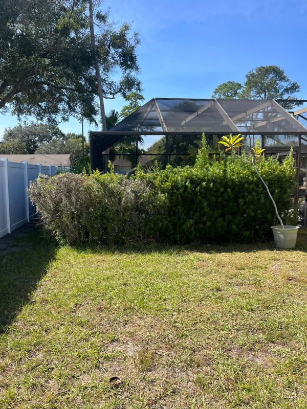 Shrub Trimming