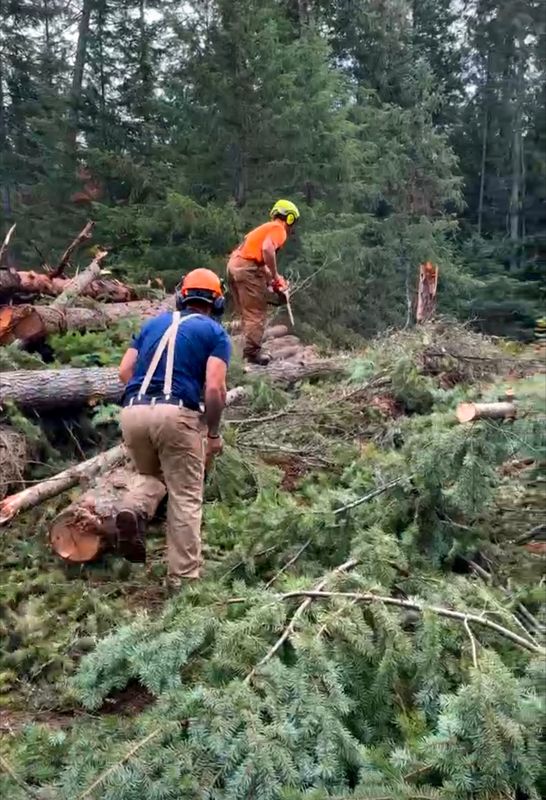 Small Scale Logging