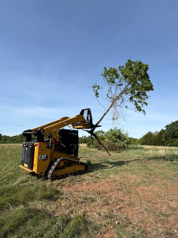 Land Clearing