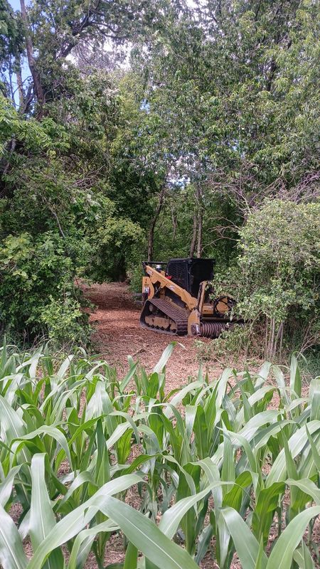 Forestry Mulching