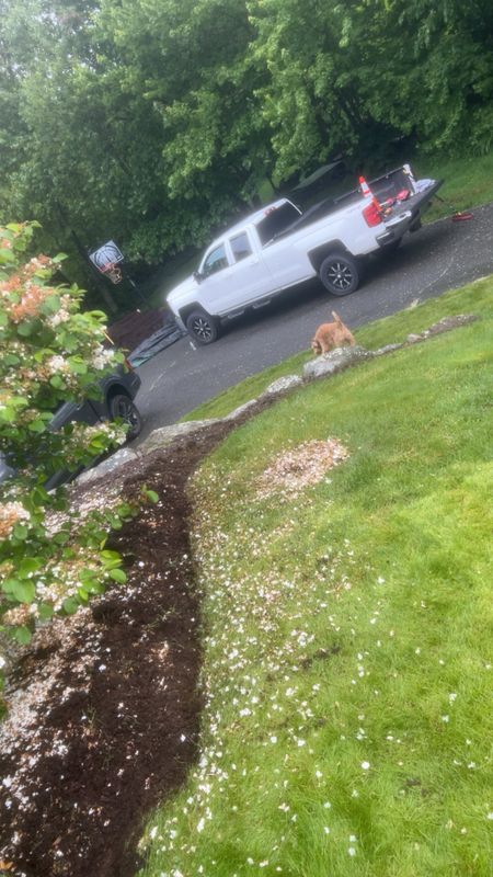 Landscaping