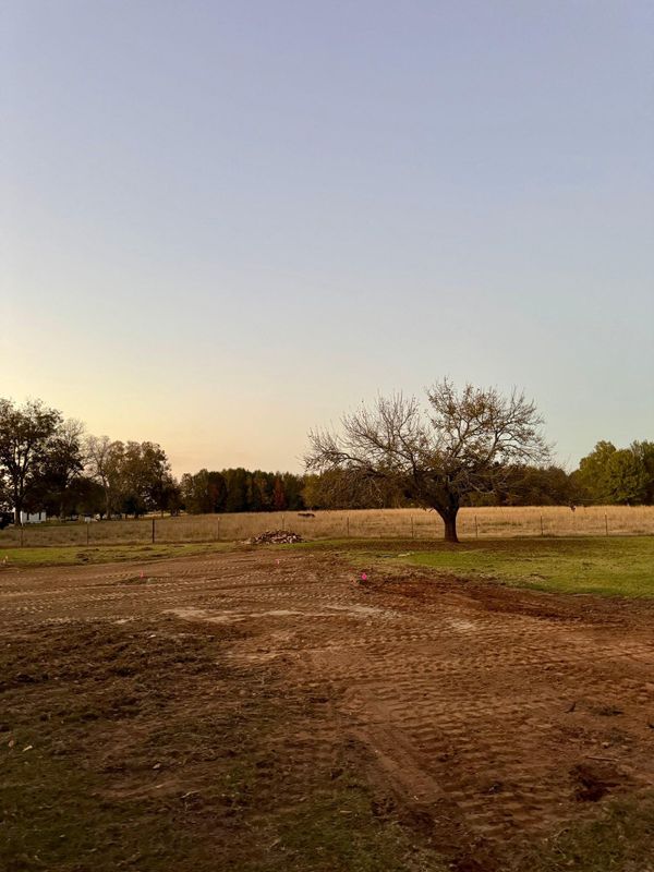 Land Clearing