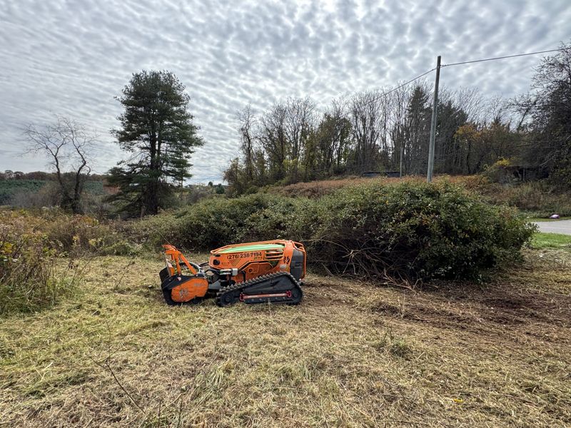 Vegetation Removal // Brush Removal