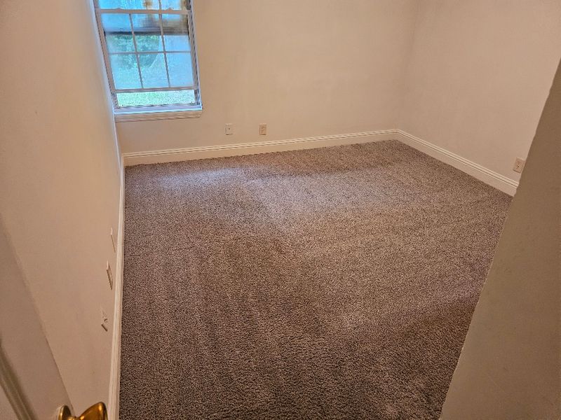 Carpet Cleaning