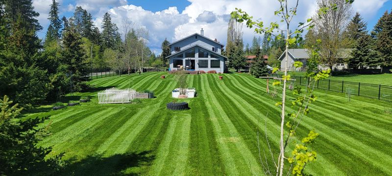 Landscape Installation