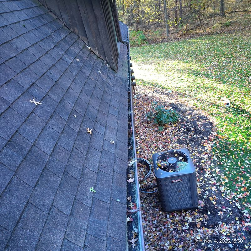 Gutter Cleaning