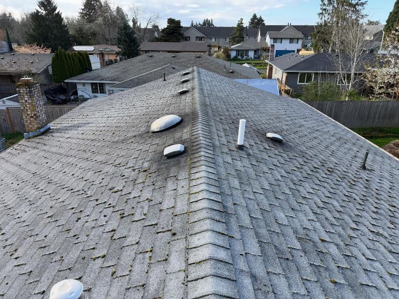 Gutter Cleaning gallery