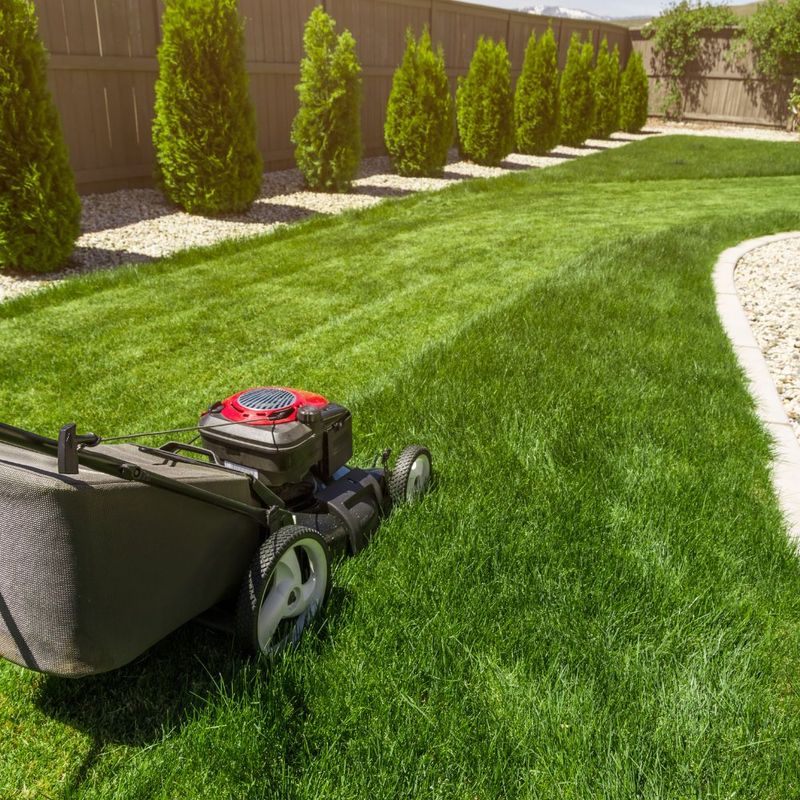 Lawn Mowing
