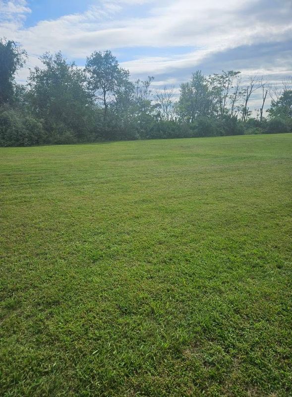 Lawn Maintenance