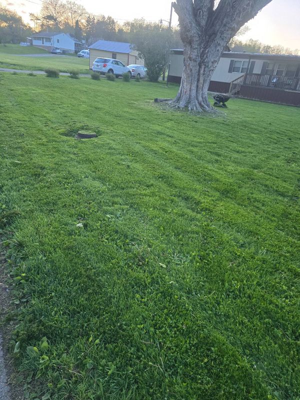Lawn Maintenance
