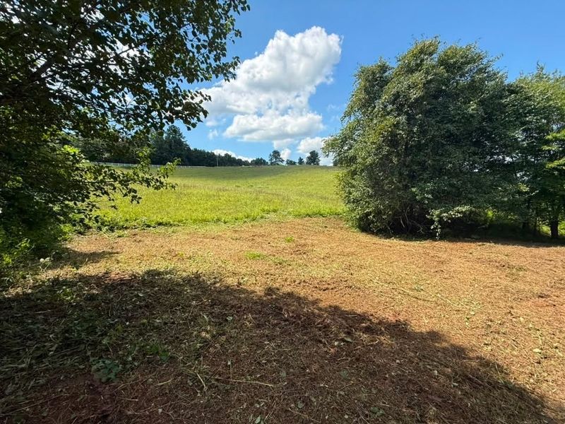Land Clearing