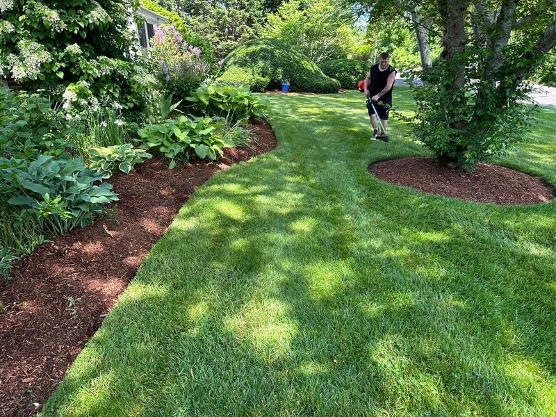 Mowing