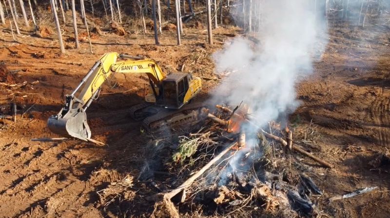Land Clearing gallery
