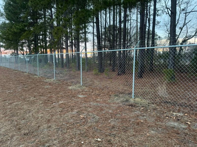 Chain Link