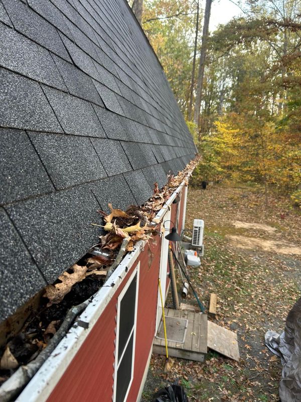 Leaf Removal