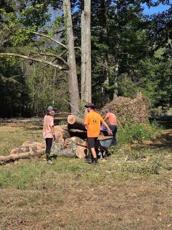 Land Clearing