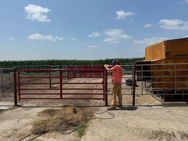 Agriculture Fencing