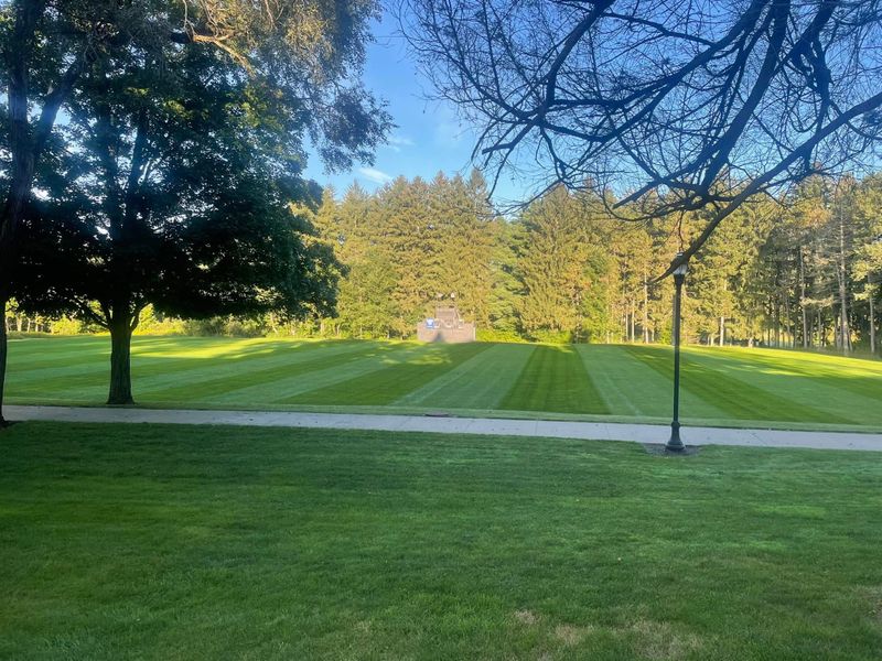 Lawn Maintenance