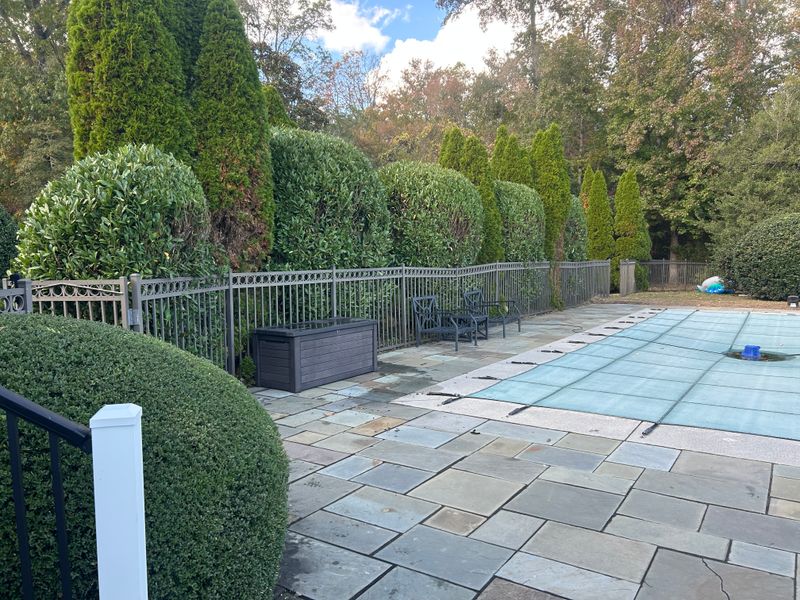 Shrub and Plant Trimming