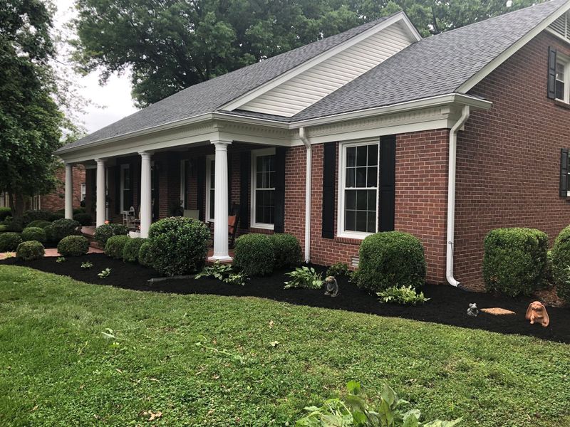Landscape Design