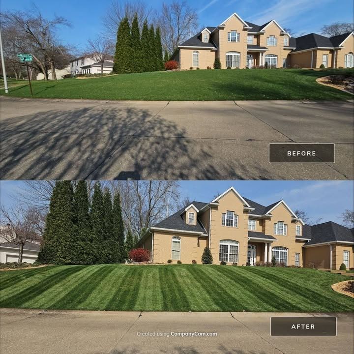 Lawn Maintenance Service